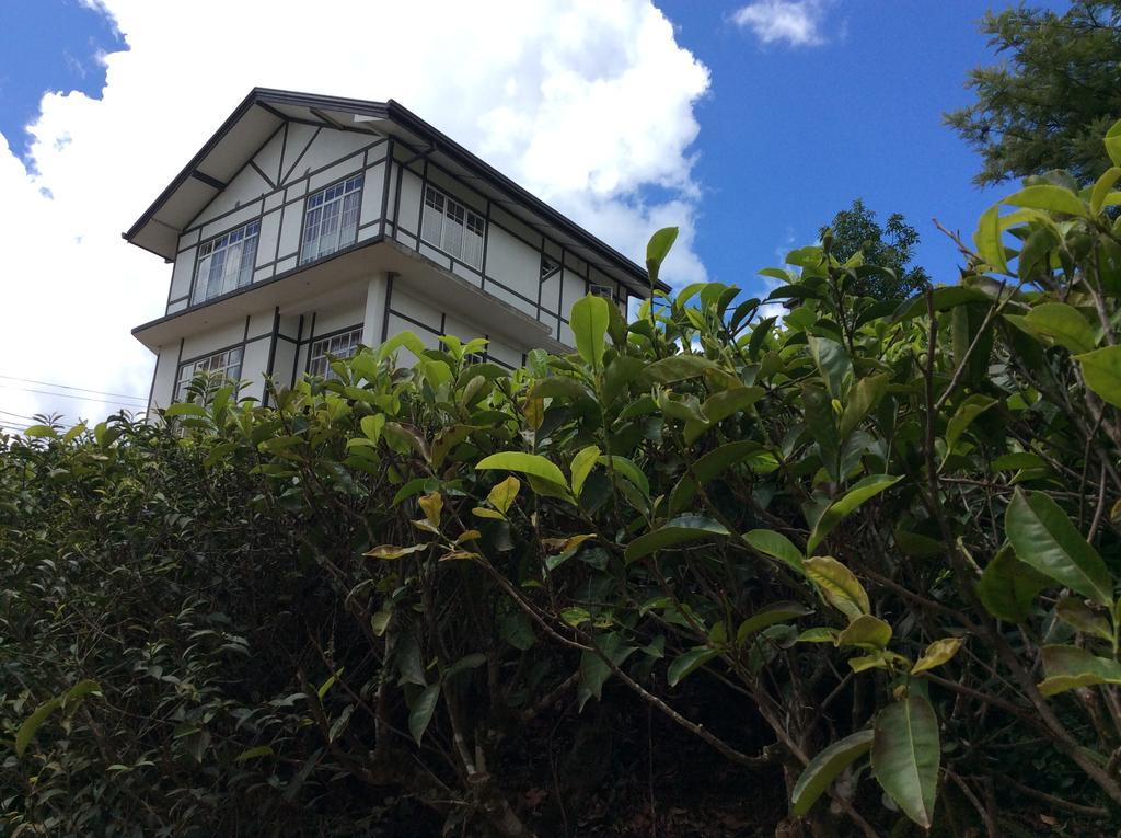 Tealeaf Bed & Breakfast Nuwara Eliya Bagian luar foto