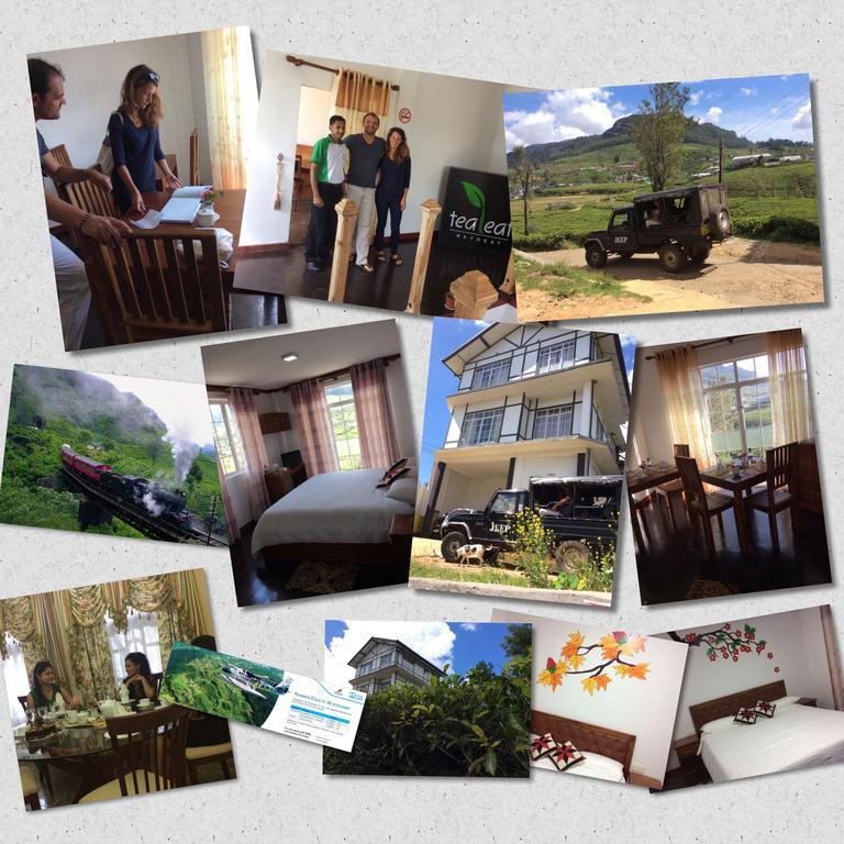 Tealeaf Bed & Breakfast Nuwara Eliya Bagian luar foto