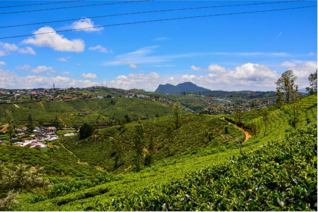 Tealeaf Bed & Breakfast Nuwara Eliya Bagian luar foto