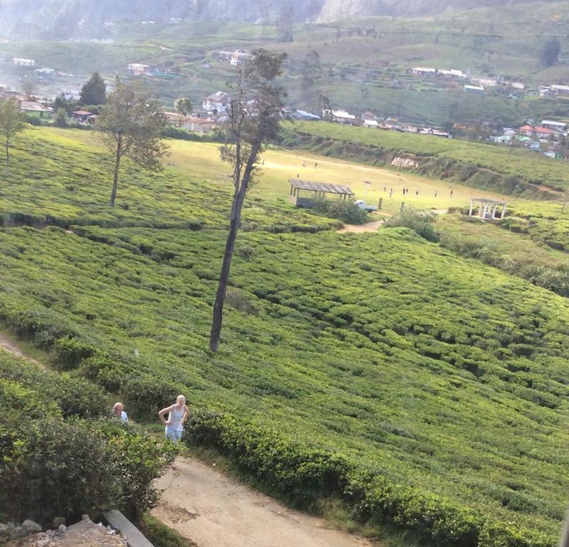 Tealeaf Bed & Breakfast Nuwara Eliya Bagian luar foto