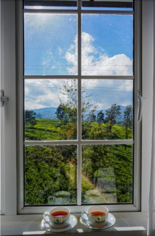 Tealeaf Bed & Breakfast Nuwara Eliya Bagian luar foto