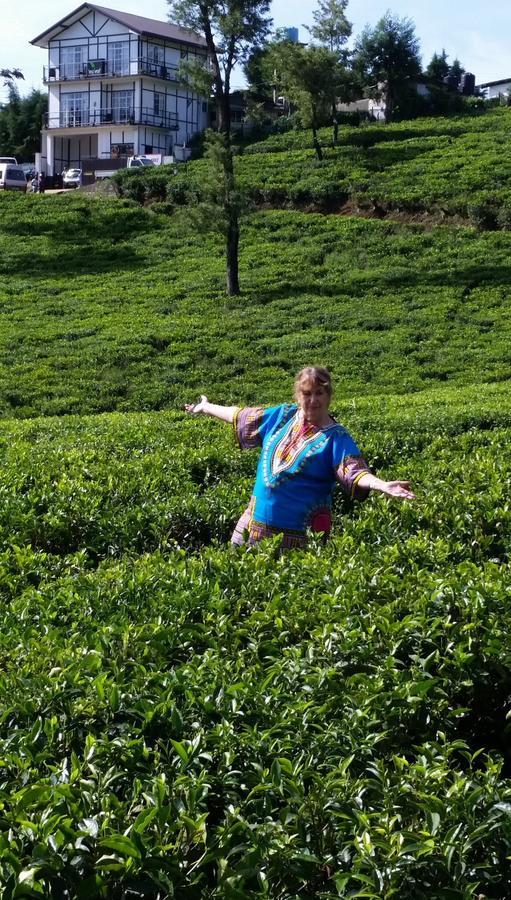 Tealeaf Bed & Breakfast Nuwara Eliya Bagian luar foto