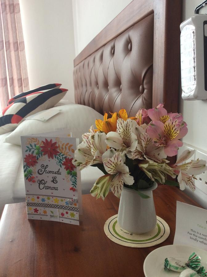 Tealeaf Bed & Breakfast Nuwara Eliya Bagian luar foto